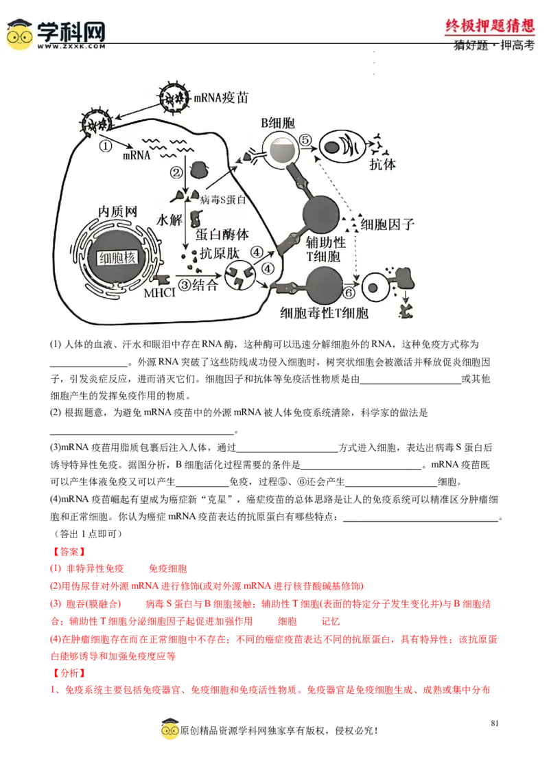 生物-2024年高考终极押题猜想（解析版）_2024高考押题卷_62024学科网全系列_212024年高考终极押题猜想_生物-2024年高考终极押题猜想