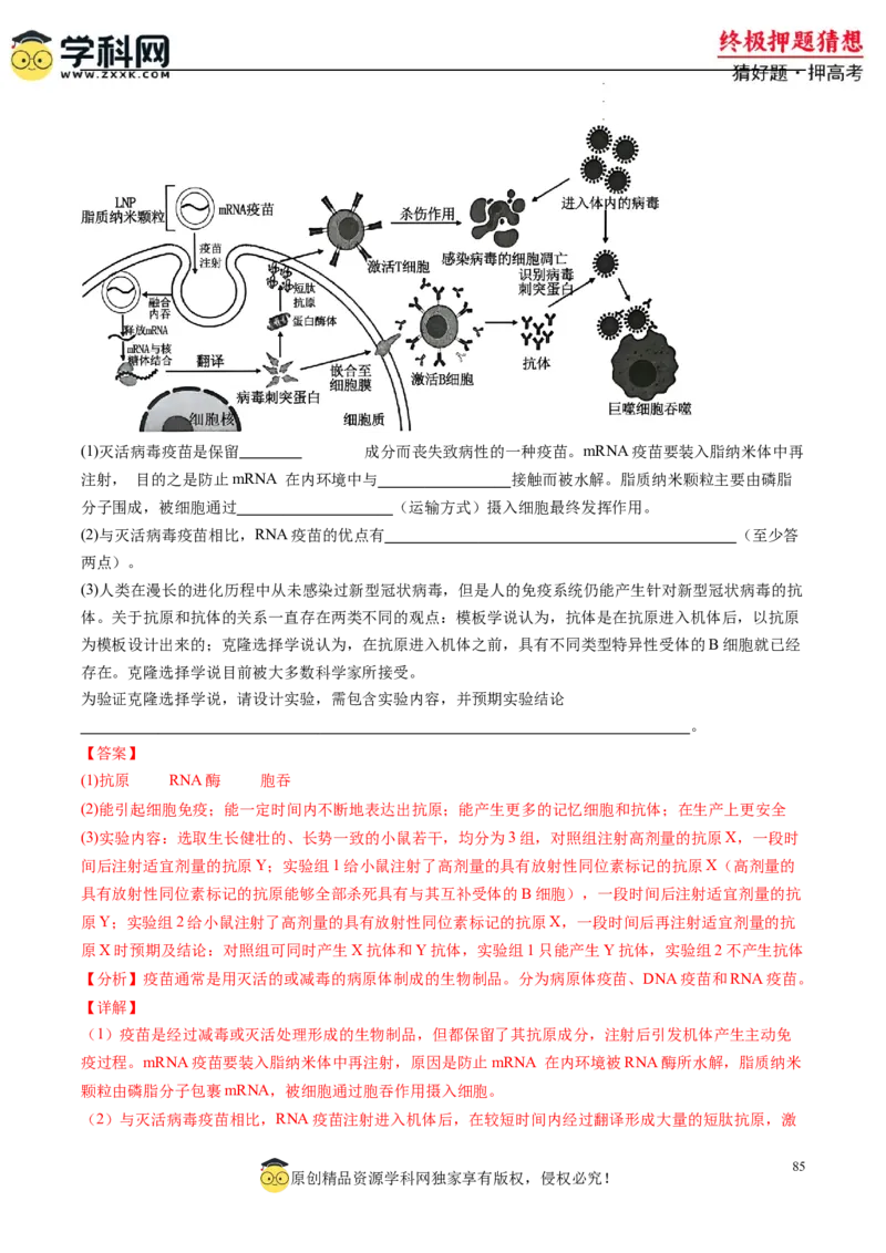 生物-2024年高考终极押题猜想（解析版）_2024高考押题卷_62024学科网全系列_212024年高考终极押题猜想_生物-2024年高考终极押题猜想