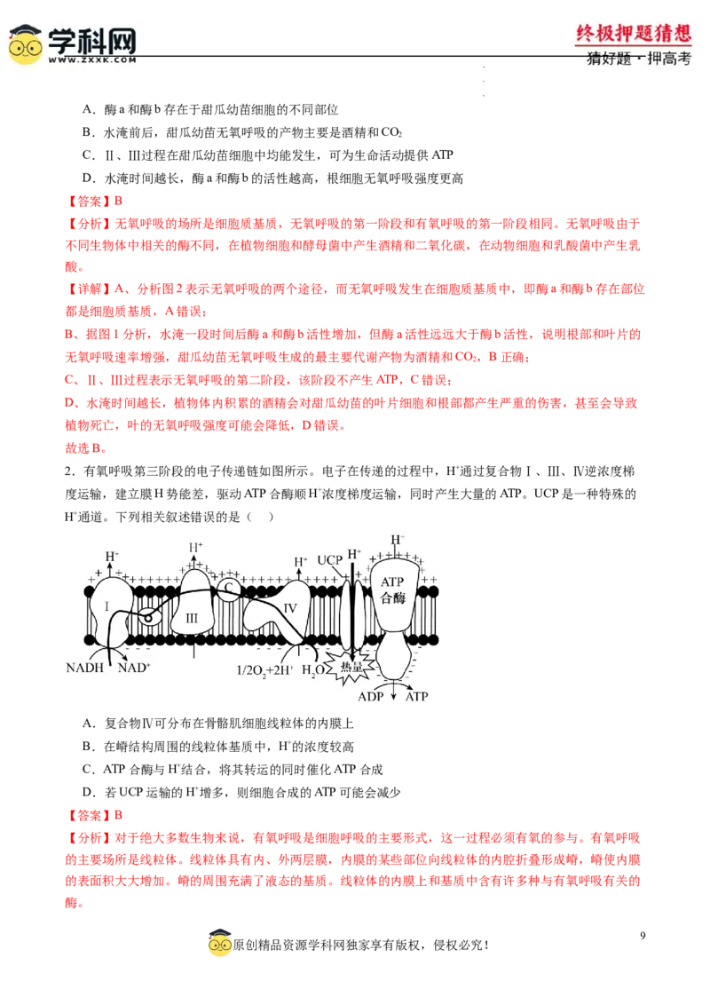 生物-2024年高考终极押题猜想（解析版）_2024高考押题卷_62024学科网全系列_212024年高考终极押题猜想_生物-2024年高考终极押题猜想