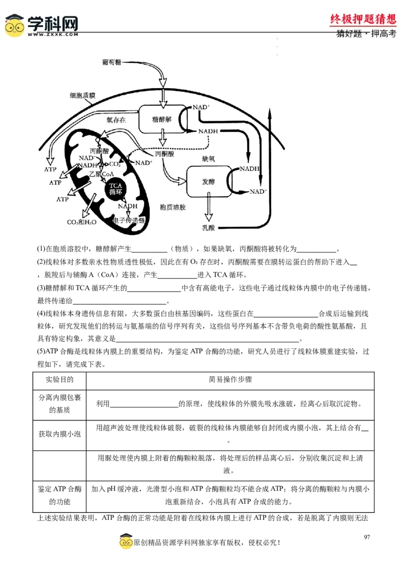 生物-2024年高考终极押题猜想（解析版）_2024高考押题卷_62024学科网全系列_212024年高考终极押题猜想_生物-2024年高考终极押题猜想
