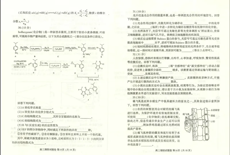 2024届河南省郑州市、周口市高三下学期二模理综试题_2024年3月_02按日期_28号_2024届河南省郑州市周口市高三下学期第二次质量预测（郑州周口二测）