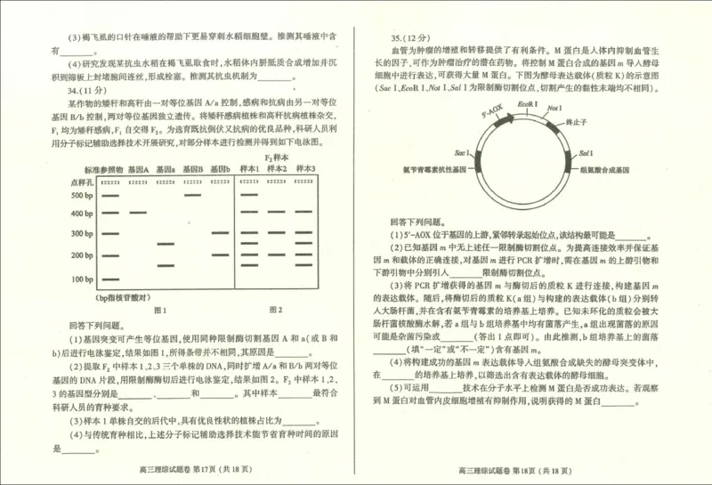 2024届河南省郑州市、周口市高三下学期二模理综试题_2024年3月_02按日期_28号_2024届河南省郑州市周口市高三下学期第二次质量预测（郑州周口二测）