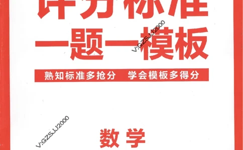 评分标准一题一模板数学-_2024高考押题卷_12024天星全系列_tx抢分密卷_tx抢分密卷（新高考）