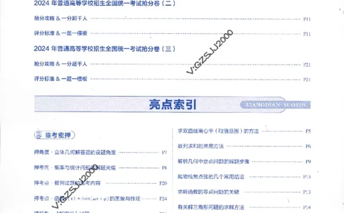 评分标准一题一模板数学-_2024高考押题卷_12024天星全系列_tx抢分密卷_tx抢分密卷（新高考）