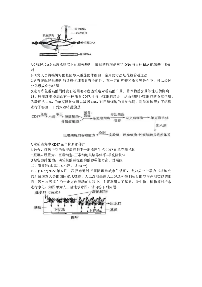 生物试题_2023年8月_01每日更新_18号_2024届湖北省腾云联盟高三上学期8月联考_湖北省腾云联盟2023-2024学年高三上学期8月联考生物试题Word版含答案