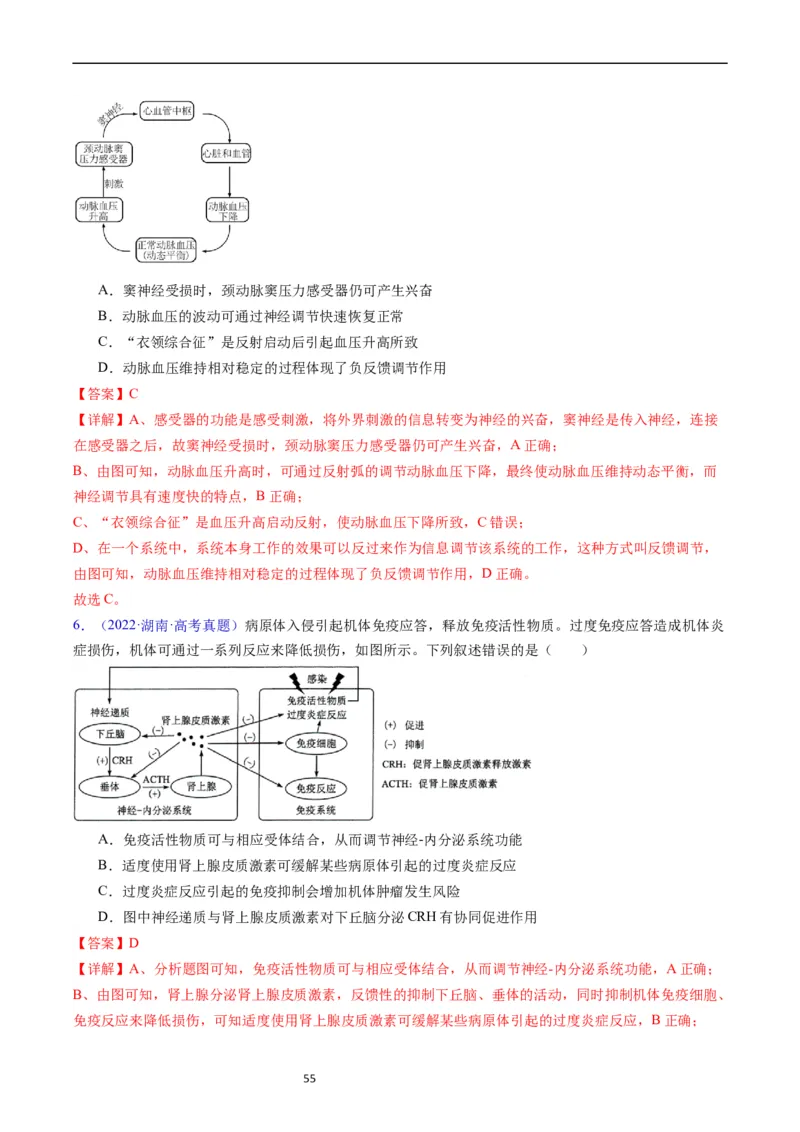 专题15体液调节-五年（2019-2023）高考生物真题分项汇编（全国通用）（解析版）_赠送：2008-2024全套高考真题_高考生物真题_送高考生物五年真题(2019-2023)分项汇编（全国通用）