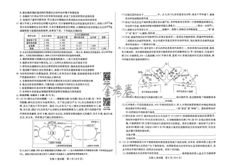 河北生物_2024高考押题卷_12024天星全系列_@@@天星临考押题密卷汇总重复_2024年tx高考临考押题密卷河北专版