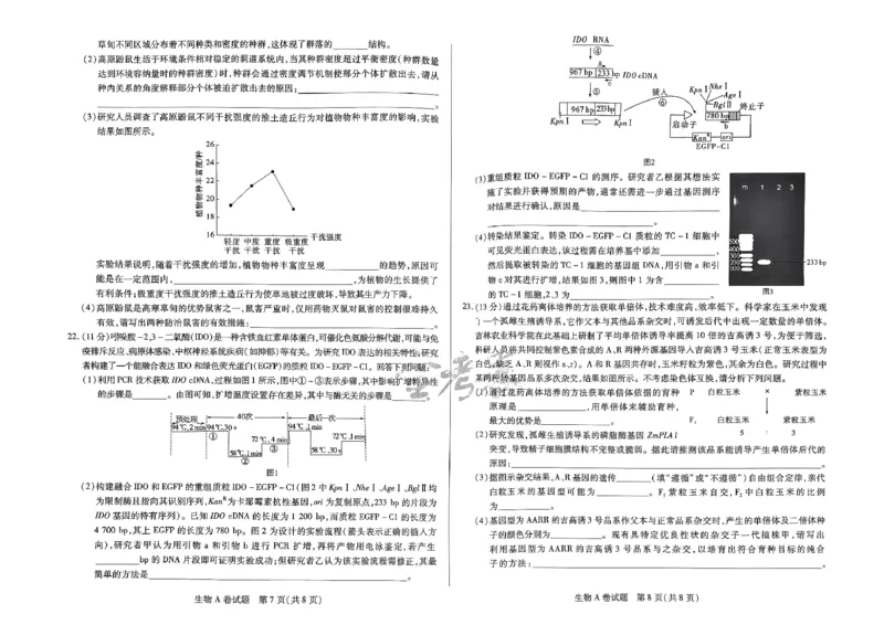 河北生物_2024高考押题卷_12024天星全系列_@@@天星临考押题密卷汇总重复_2024年tx高考临考押题密卷河北专版