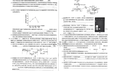 河北生物_2024高考押题卷_12024天星全系列_@@@天星临考押题密卷汇总重复_2024年tx高考临考押题密卷河北专版