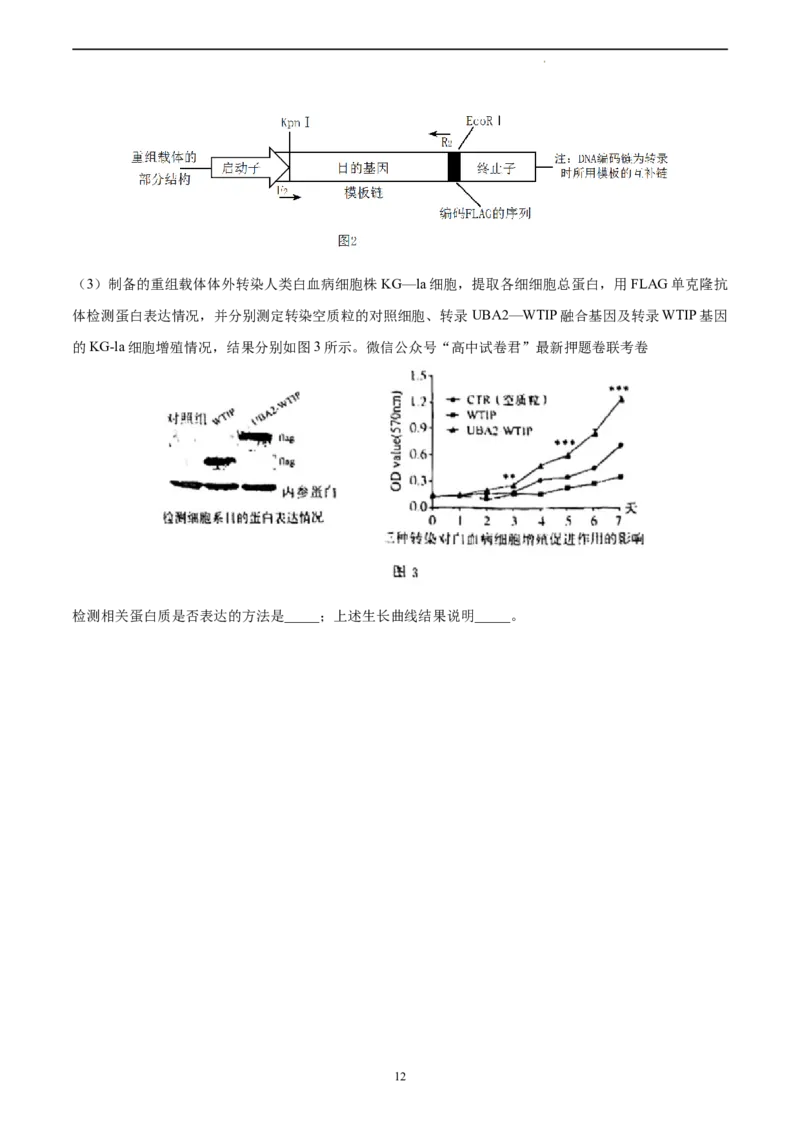 生物（山东卷）（A4考试版）_2023高考押题卷_学易金卷-2023学科网押题卷（各科各版本）_2023学科网押题卷-学易金卷-生物_生物（山东卷）-学易金卷：2023年高考考前押题密卷