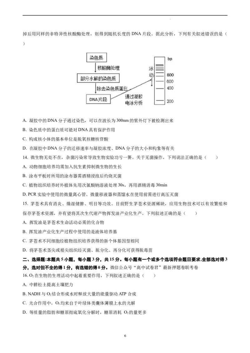 生物（山东卷）（A4考试版）_2023高考押题卷_学易金卷-2023学科网押题卷（各科各版本）_2023学科网押题卷-学易金卷-生物_生物（山东卷）-学易金卷：2023年高考考前押题密卷