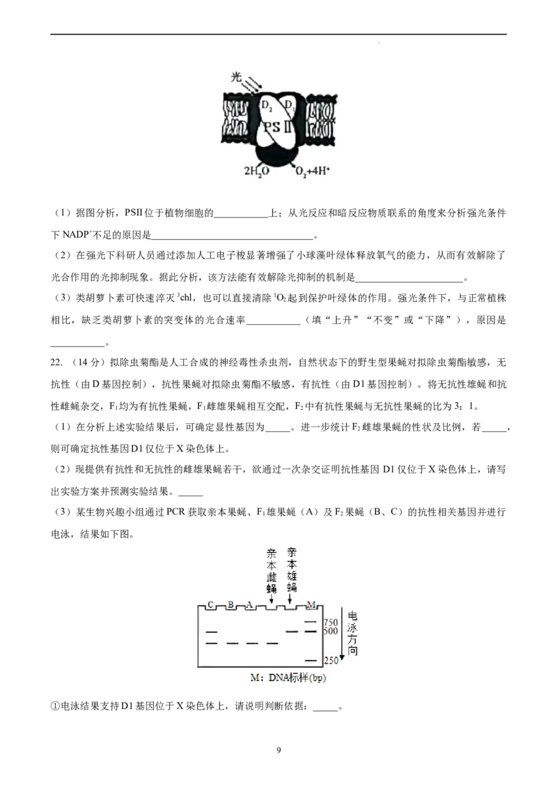 生物（山东卷）（A4考试版）_2023高考押题卷_学易金卷-2023学科网押题卷（各科各版本）_2023学科网押题卷-学易金卷-生物_生物（山东卷）-学易金卷：2023年高考考前押题密卷