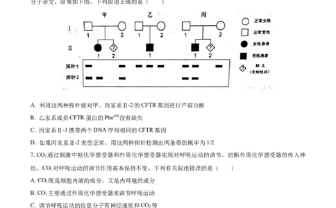 生物（山东卷）（A4考试版）_2023高考押题卷_学易金卷-2023学科网押题卷（各科各版本）_2023学科网押题卷-学易金卷-生物_生物（山东卷）-学易金卷：2023年高考考前押题密卷