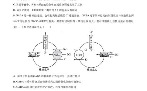 生物（山东卷）（A4考试版）_2023高考押题卷_学易金卷-2023学科网押题卷（各科各版本）_2023学科网押题卷-学易金卷-生物_生物（山东卷）-学易金卷：2023年高考考前押题密卷
