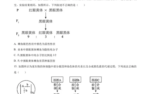 辽宁省沈阳市新民市高级中学2023-2024学年高三上学期9月开学考试生物(1)_2023年9月_029月合集_2024届辽宁省新民中学高三上学期开学考试