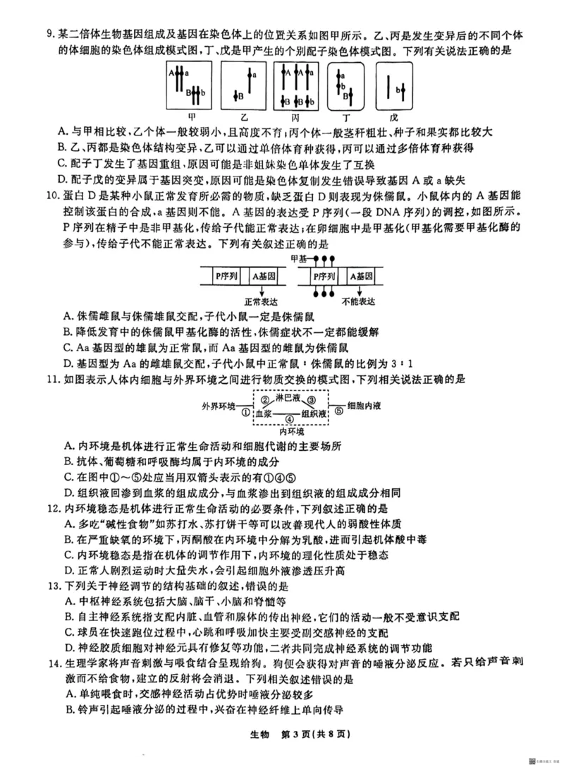 辽宁省名校联盟2023-2024学年高二上学期9月联合考试生物_2023年9月_01每日更新_11号_高二2024辽宁省名校联盟高二上学期9月联合考试