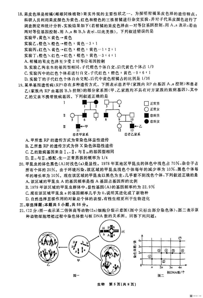 辽宁省名校联盟2023-2024学年高二上学期9月联合考试生物_2023年9月_01每日更新_11号_高二2024辽宁省名校联盟高二上学期9月联合考试
