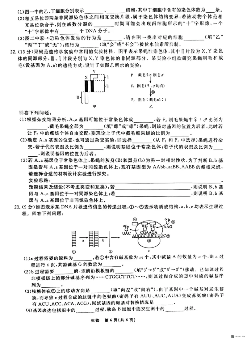 辽宁省名校联盟2023-2024学年高二上学期9月联合考试生物_2023年9月_01每日更新_11号_高二2024辽宁省名校联盟高二上学期9月联合考试