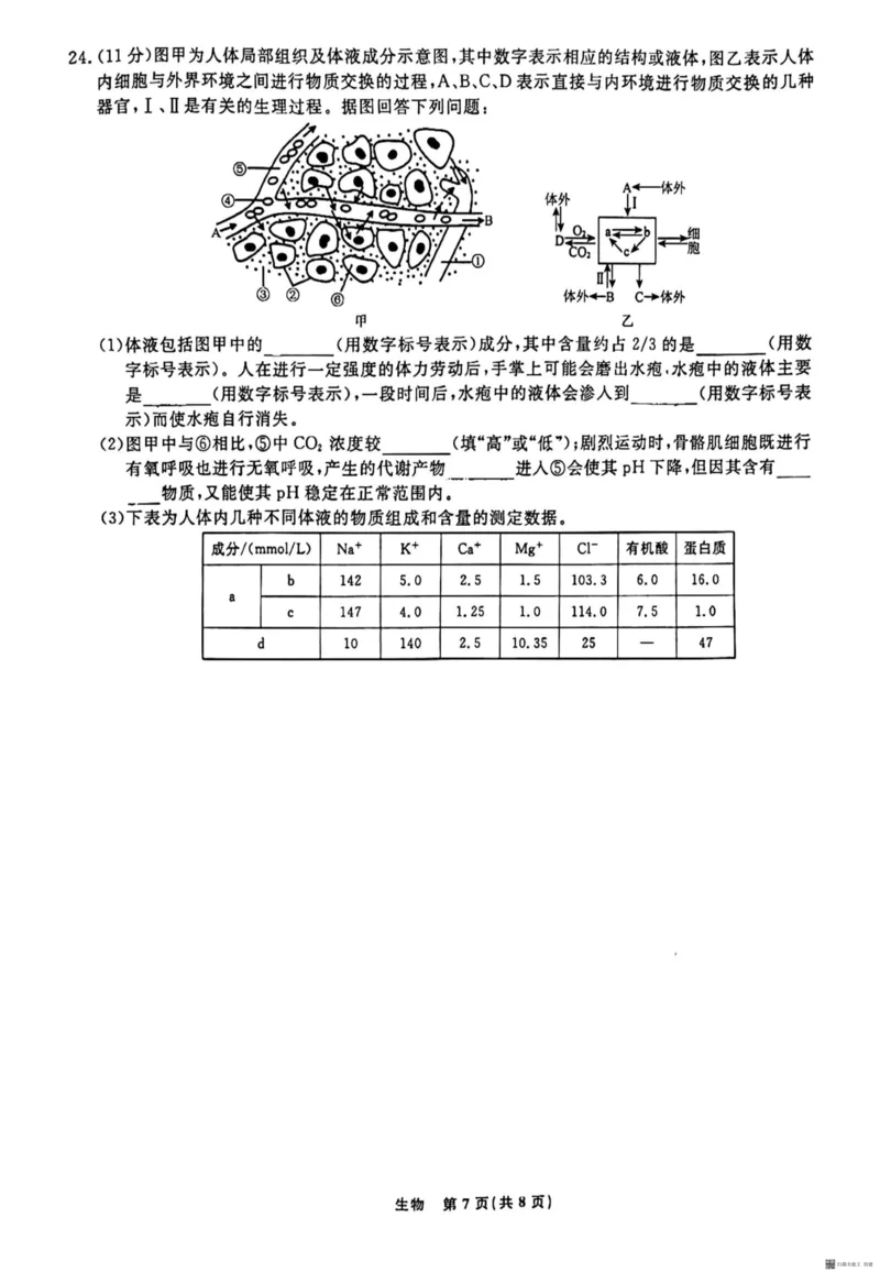 辽宁省名校联盟2023-2024学年高二上学期9月联合考试生物_2023年9月_01每日更新_11号_高二2024辽宁省名校联盟高二上学期9月联合考试