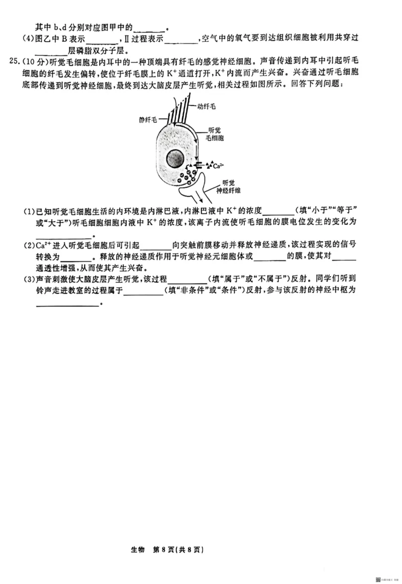 辽宁省名校联盟2023-2024学年高二上学期9月联合考试生物_2023年9月_01每日更新_11号_高二2024辽宁省名校联盟高二上学期9月联合考试