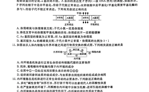 辽宁省名校联盟2023-2024学年高二上学期9月联合考试生物_2023年9月_01每日更新_11号_高二2024辽宁省名校联盟高二上学期9月联合考试