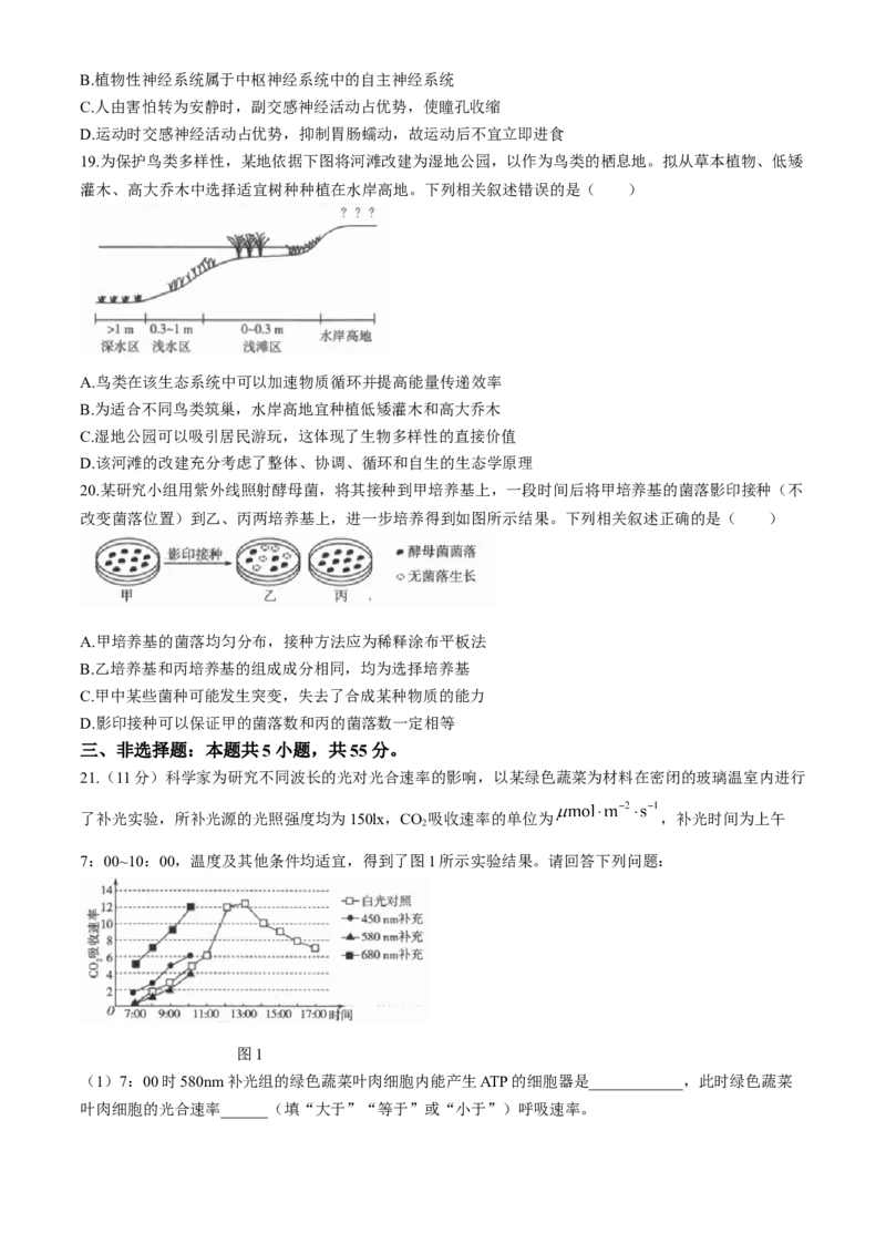2024届山东天一大&middot;齐鲁名校联盟高三5月考前质量检测生物+答案_2024年5月_01按日期_28号_2024届山东天一大&middot;齐鲁名校联盟高三5月考前质量检测