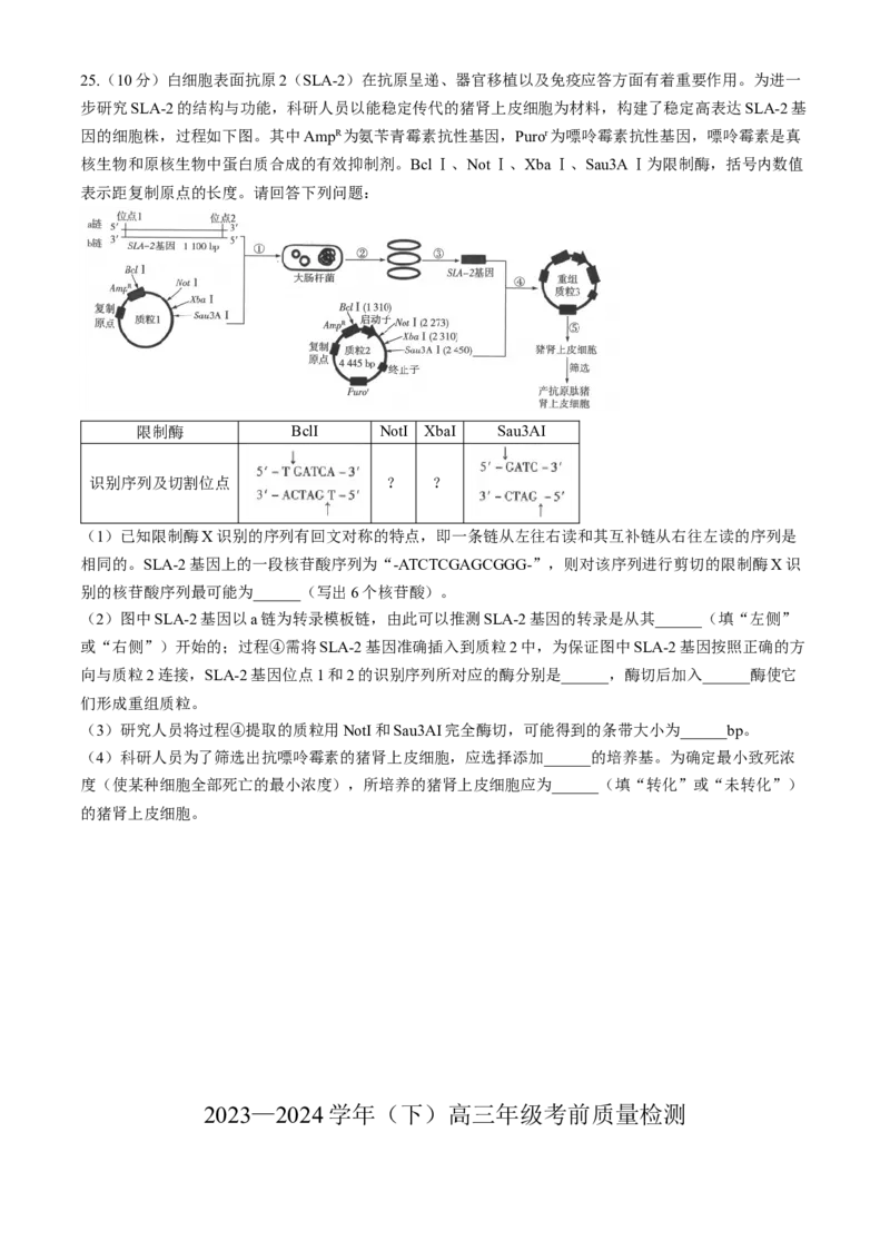 2024届山东天一大&middot;齐鲁名校联盟高三5月考前质量检测生物+答案_2024年5月_01按日期_28号_2024届山东天一大&middot;齐鲁名校联盟高三5月考前质量检测