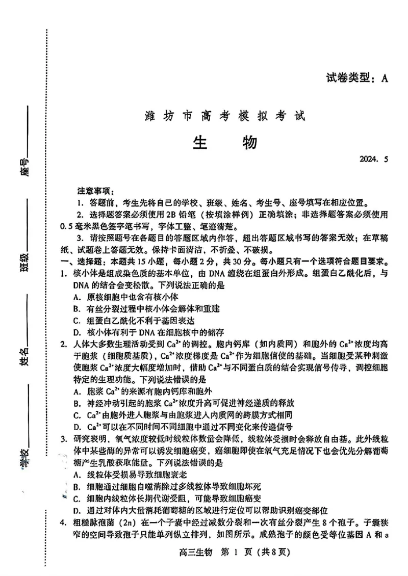 2024届山东潍坊5月高考模拟考试(潍坊三模)生物（含答案）_2024年5月_01按日期_28号_2024届山东潍坊5月高考模拟考试(潍坊三模)