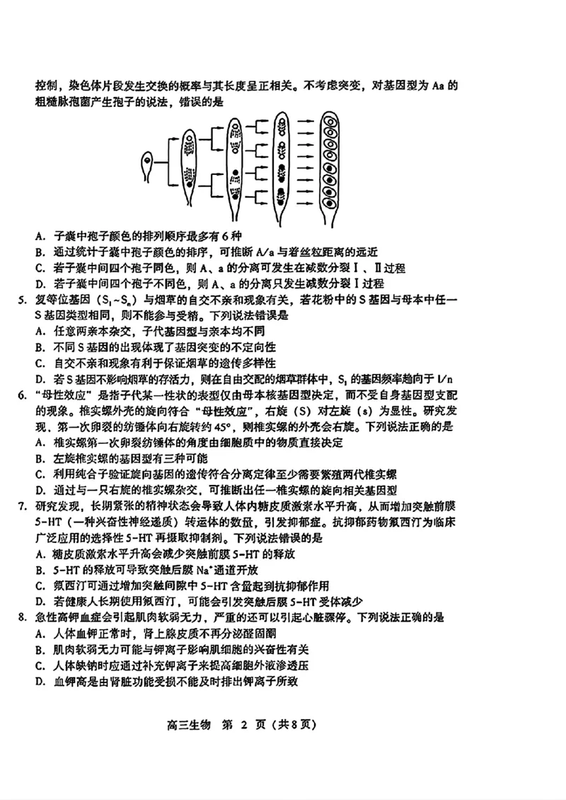 2024届山东潍坊5月高考模拟考试(潍坊三模)生物（含答案）_2024年5月_01按日期_28号_2024届山东潍坊5月高考模拟考试(潍坊三模)