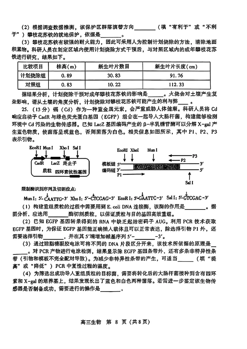 2024届山东潍坊5月高考模拟考试(潍坊三模)生物（含答案）_2024年5月_01按日期_28号_2024届山东潍坊5月高考模拟考试(潍坊三模)