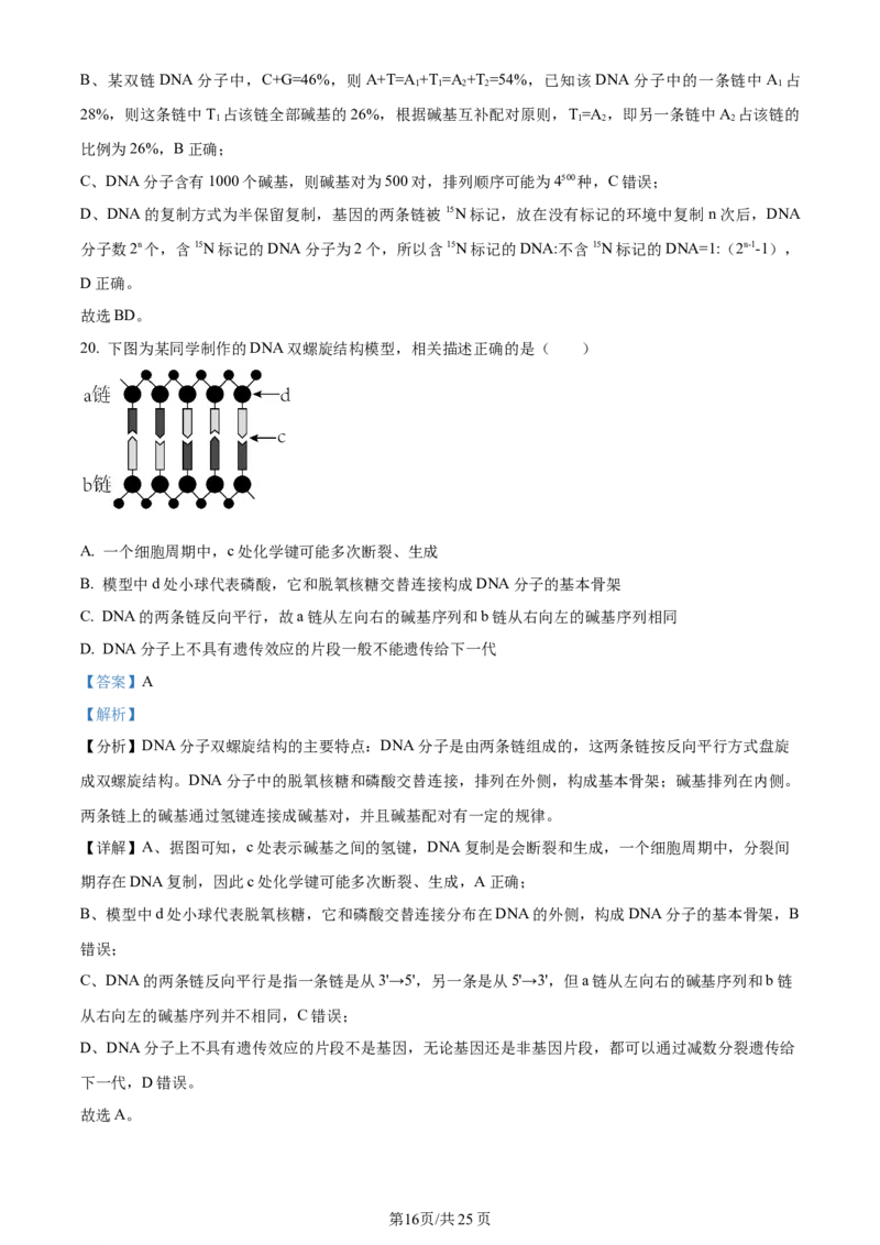 辽宁省重点高中沈阳市郊联体2023-2024学年高三上学期10月月考生物答案(1)_2023年10月_01每日更新_26号_2024届辽宁省重点高中沈阳市郊联体高三上学期10月月考