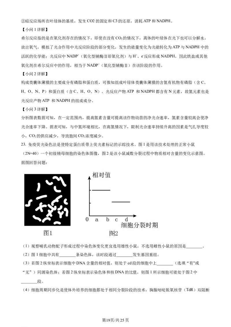 辽宁省重点高中沈阳市郊联体2023-2024学年高三上学期10月月考生物答案(1)_2023年10月_01每日更新_26号_2024届辽宁省重点高中沈阳市郊联体高三上学期10月月考