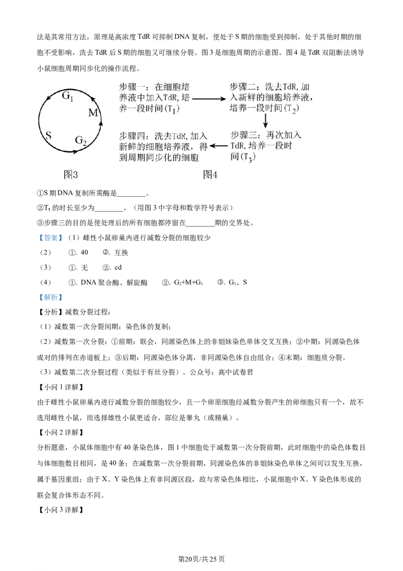辽宁省重点高中沈阳市郊联体2023-2024学年高三上学期10月月考生物答案(1)_2023年10月_01每日更新_26号_2024届辽宁省重点高中沈阳市郊联体高三上学期10月月考
