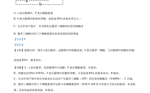 辽宁省重点高中沈阳市郊联体2023-2024学年高三上学期10月月考生物答案(1)_2023年10月_01每日更新_26号_2024届辽宁省重点高中沈阳市郊联体高三上学期10月月考