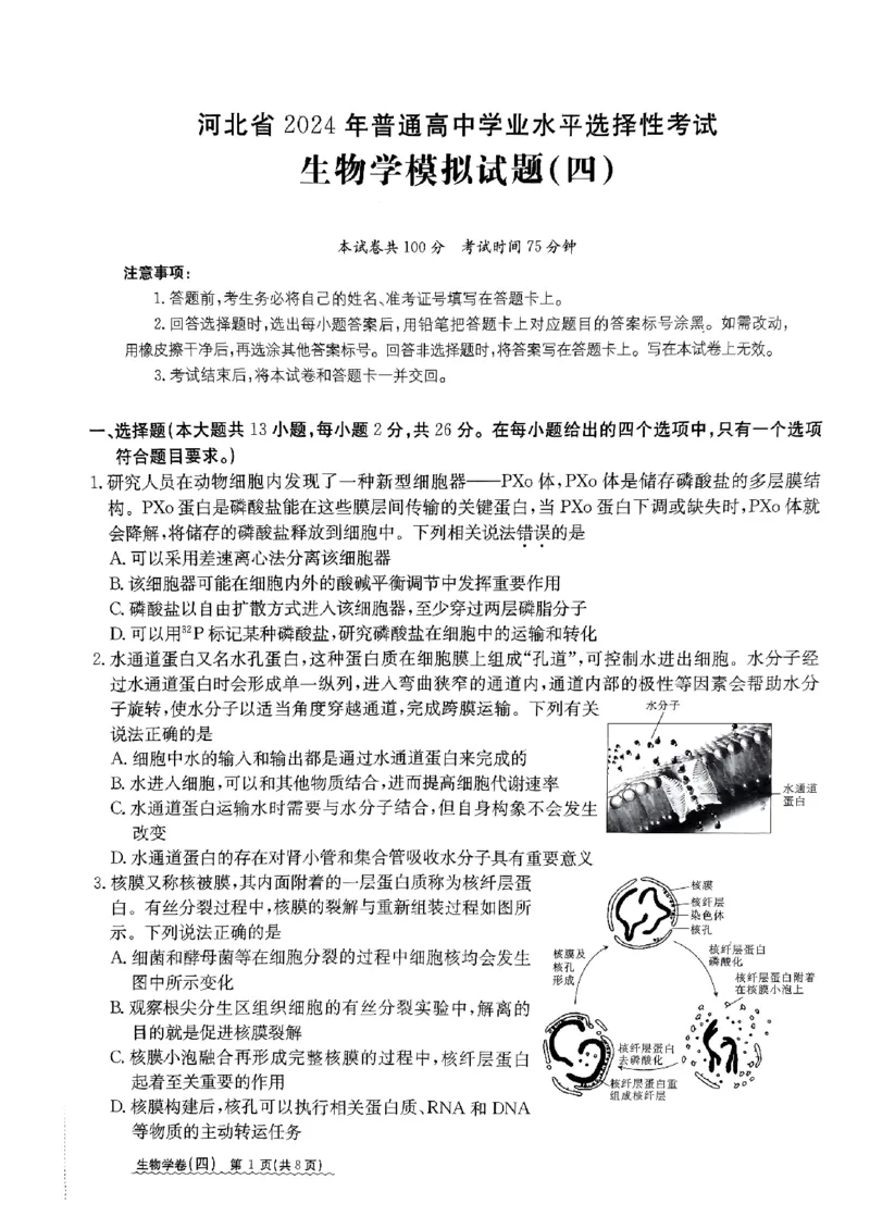2024届河北省高三下学期普通高中学业水平选择性考试生物_2024年3月_013月合集_2024届河北省高中学业水平选择性考试模拟试题（四）