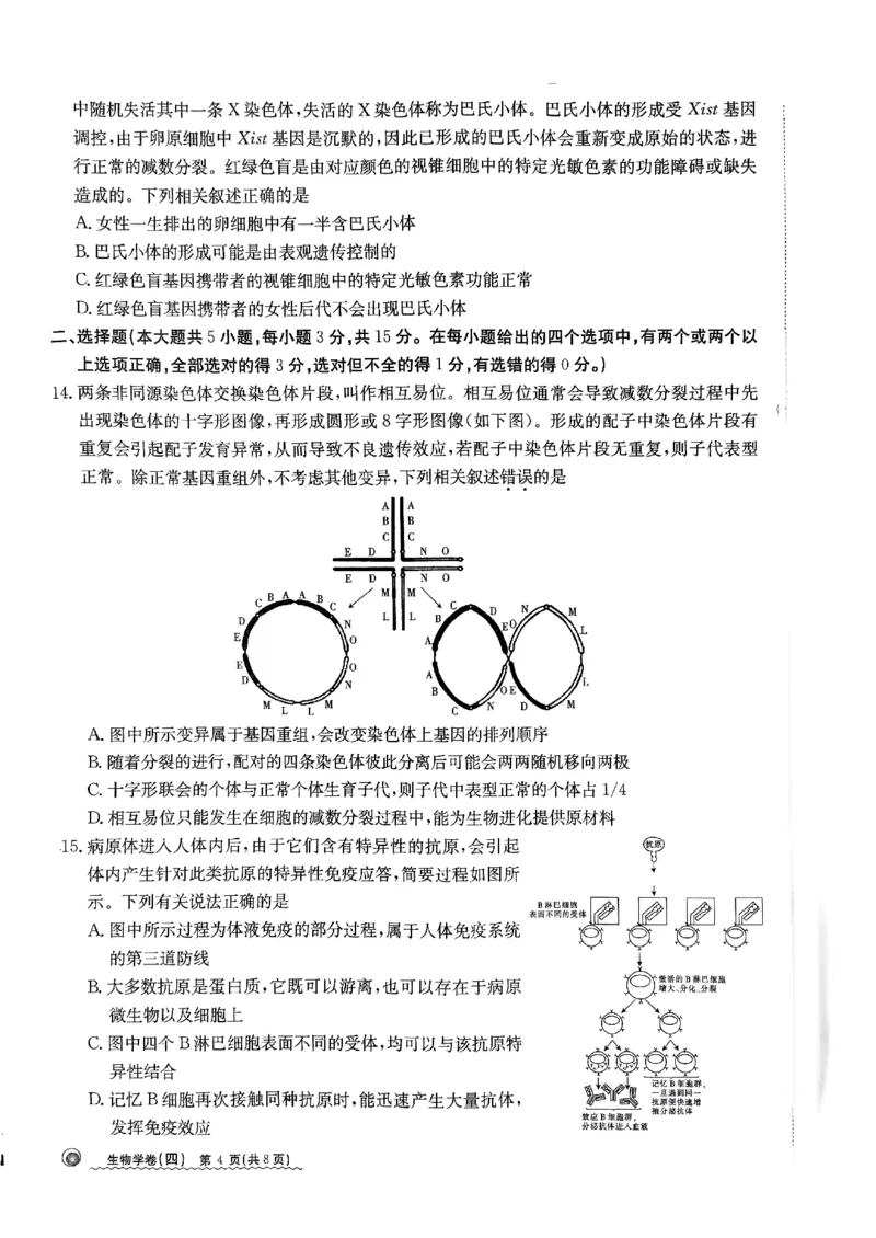 2024届河北省高三下学期普通高中学业水平选择性考试生物_2024年3月_013月合集_2024届河北省高中学业水平选择性考试模拟试题（四）