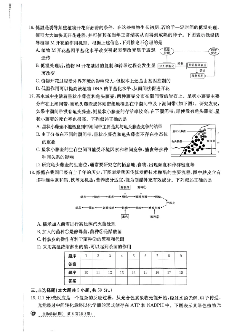 2024届河北省高三下学期普通高中学业水平选择性考试生物_2024年3月_013月合集_2024届河北省高中学业水平选择性考试模拟试题（四）