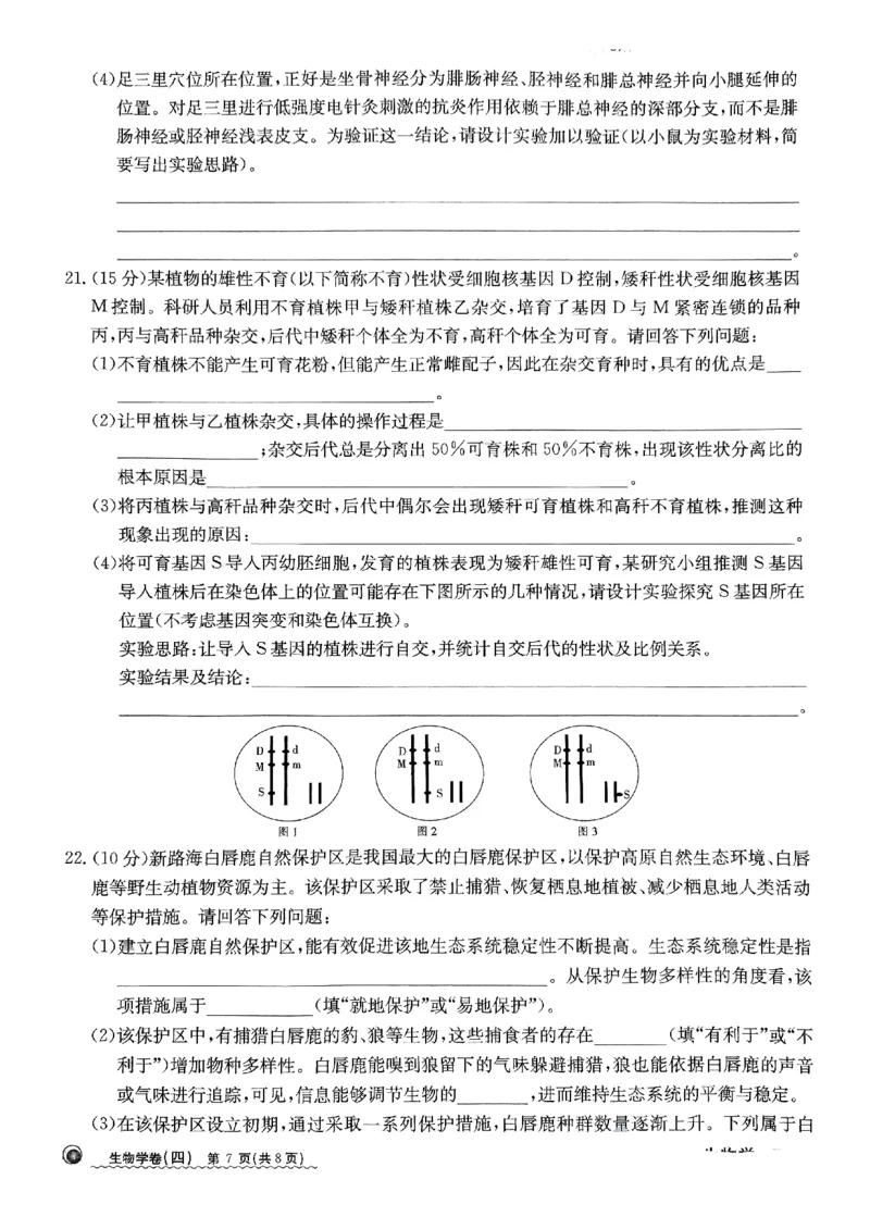 2024届河北省高三下学期普通高中学业水平选择性考试生物_2024年3月_013月合集_2024届河北省高中学业水平选择性考试模拟试题（四）