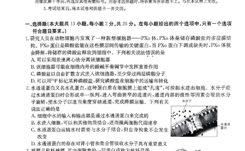 2024届河北省高三下学期普通高中学业水平选择性考试生物_2024年3月_013月合集_2024届河北省高中学业水平选择性考试模拟试题（四）