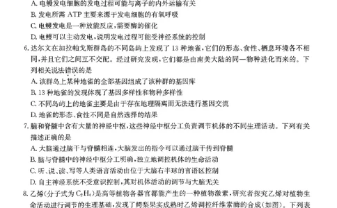 2024届河北省高三下学期普通高中学业水平选择性考试生物_2024年3月_013月合集_2024届河北省高中学业水平选择性考试模拟试题（四）