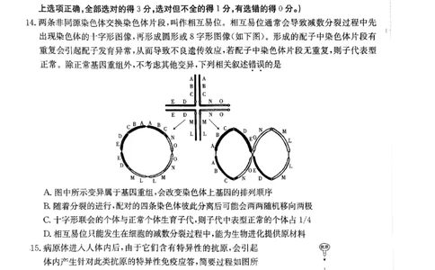 2024届河北省高三下学期普通高中学业水平选择性考试生物_2024年3月_013月合集_2024届河北省高中学业水平选择性考试模拟试题（四）