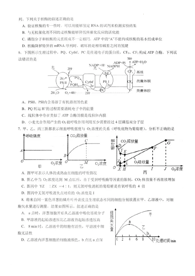江苏省扬州市高邮市高三上学期10月学情调研测试生物(1)_2023年10月_01每日更新_14号_2024届江苏省扬州市高邮市高三上学期10月学情调研测试