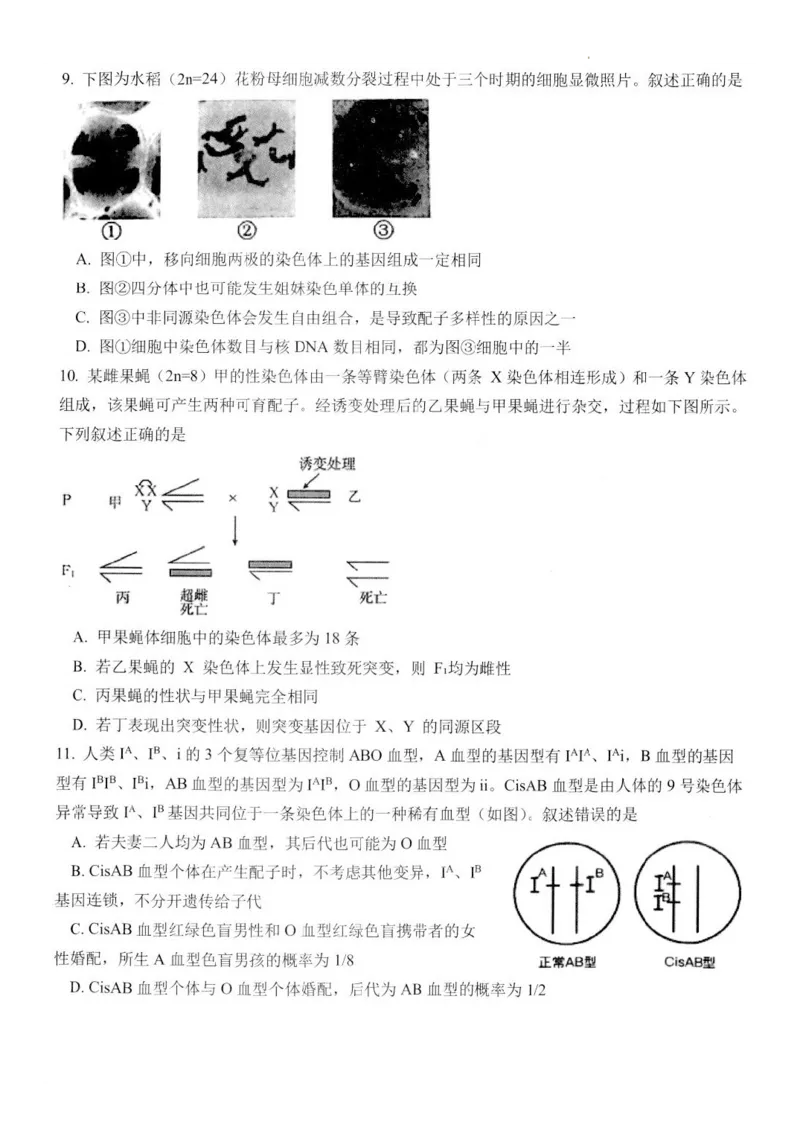 江苏省扬州市高邮市高三上学期10月学情调研测试生物(1)_2023年10月_01每日更新_14号_2024届江苏省扬州市高邮市高三上学期10月学情调研测试