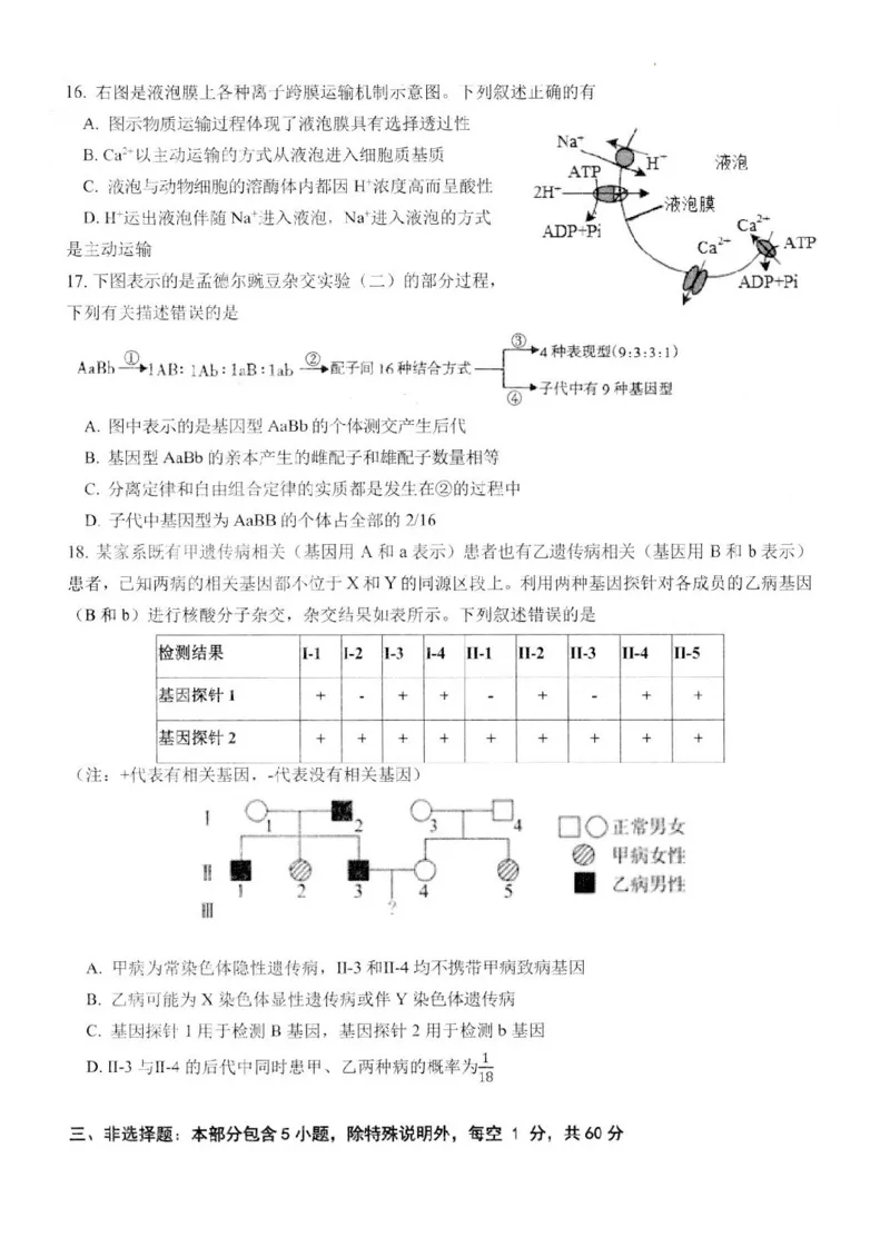 江苏省扬州市高邮市高三上学期10月学情调研测试生物(1)_2023年10月_01每日更新_14号_2024届江苏省扬州市高邮市高三上学期10月学情调研测试