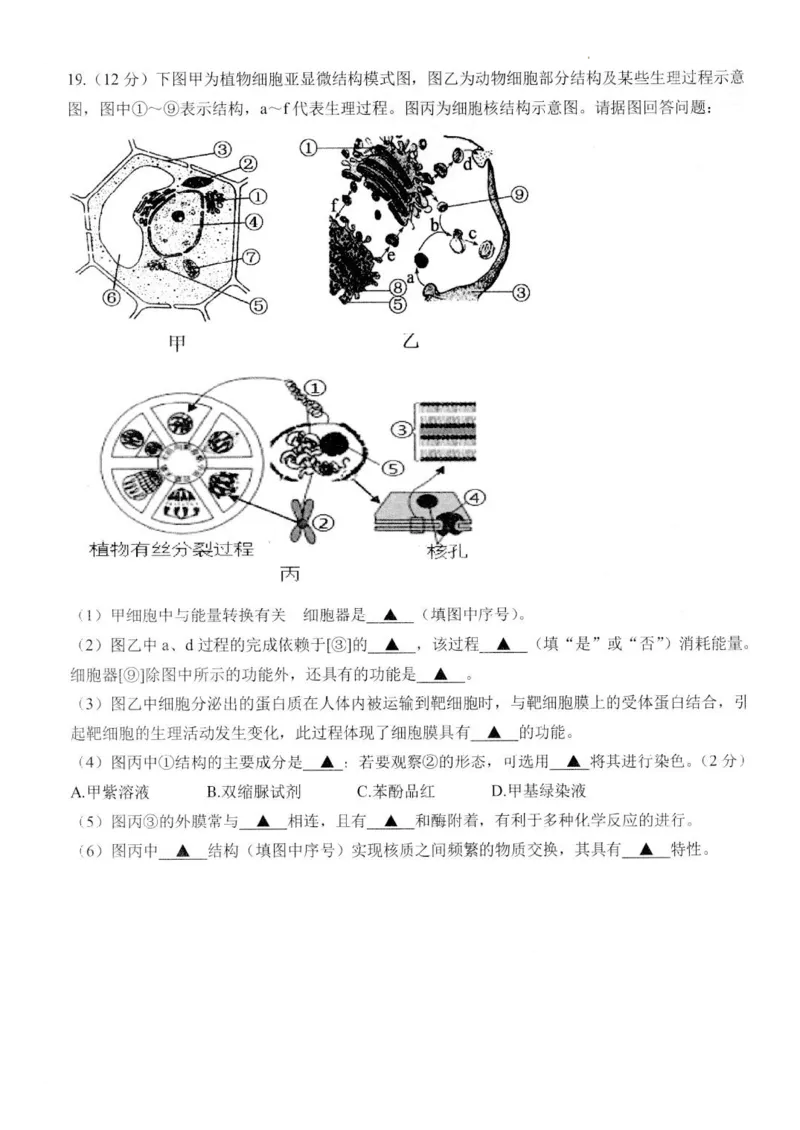 江苏省扬州市高邮市高三上学期10月学情调研测试生物(1)_2023年10月_01每日更新_14号_2024届江苏省扬州市高邮市高三上学期10月学情调研测试