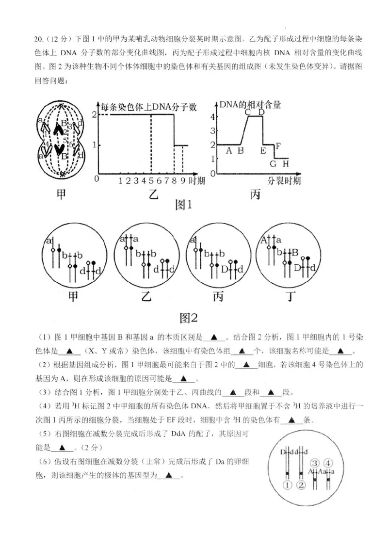 江苏省扬州市高邮市高三上学期10月学情调研测试生物(1)_2023年10月_01每日更新_14号_2024届江苏省扬州市高邮市高三上学期10月学情调研测试