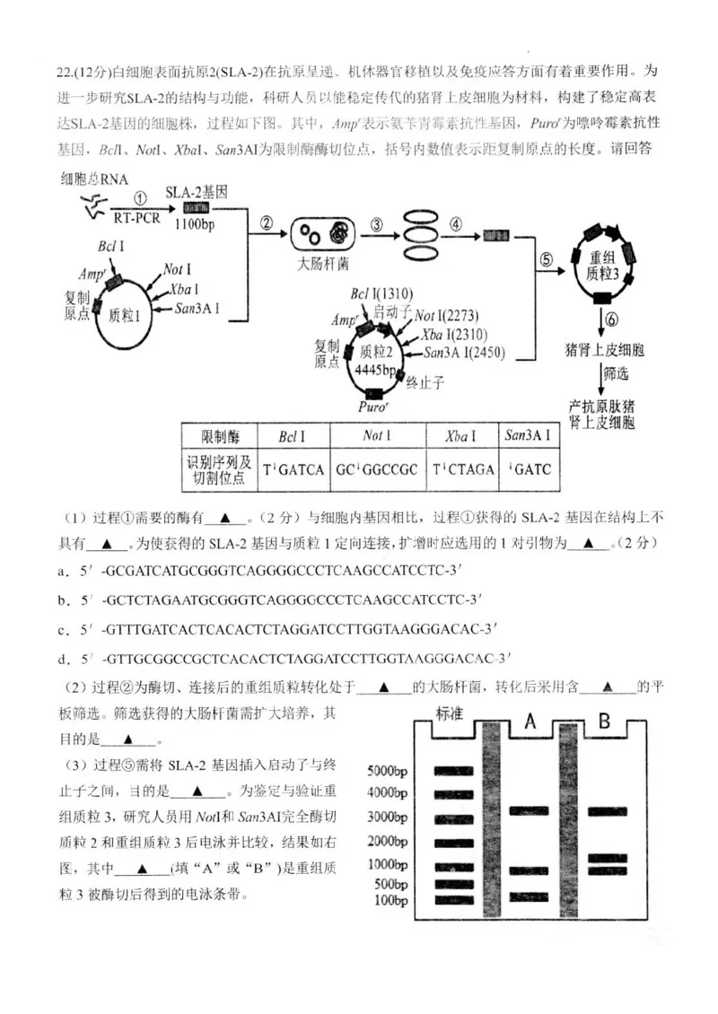 江苏省扬州市高邮市高三上学期10月学情调研测试生物(1)_2023年10月_01每日更新_14号_2024届江苏省扬州市高邮市高三上学期10月学情调研测试
