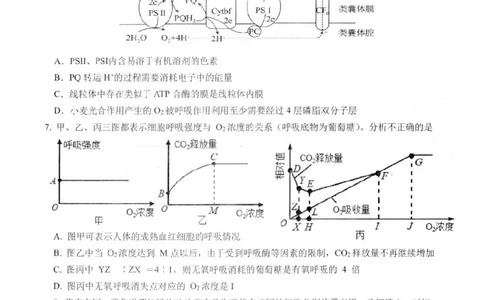 江苏省扬州市高邮市高三上学期10月学情调研测试生物(1)_2023年10月_01每日更新_14号_2024届江苏省扬州市高邮市高三上学期10月学情调研测试