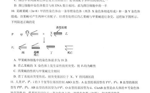 江苏省扬州市高邮市高三上学期10月学情调研测试生物(1)_2023年10月_01每日更新_14号_2024届江苏省扬州市高邮市高三上学期10月学情调研测试