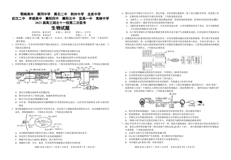 2023届高三十一校第二次联考生物学_2024年2月_01每日更新_16号_2023届高三湖北十一校第二次联考全科_2023届高三湖北十一校第二次联考生物